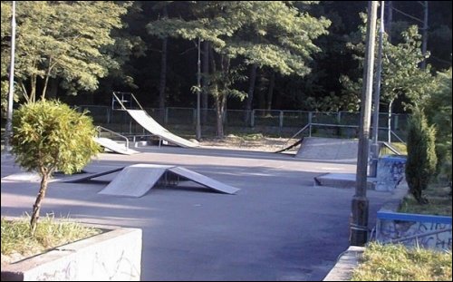 puawski skatepark